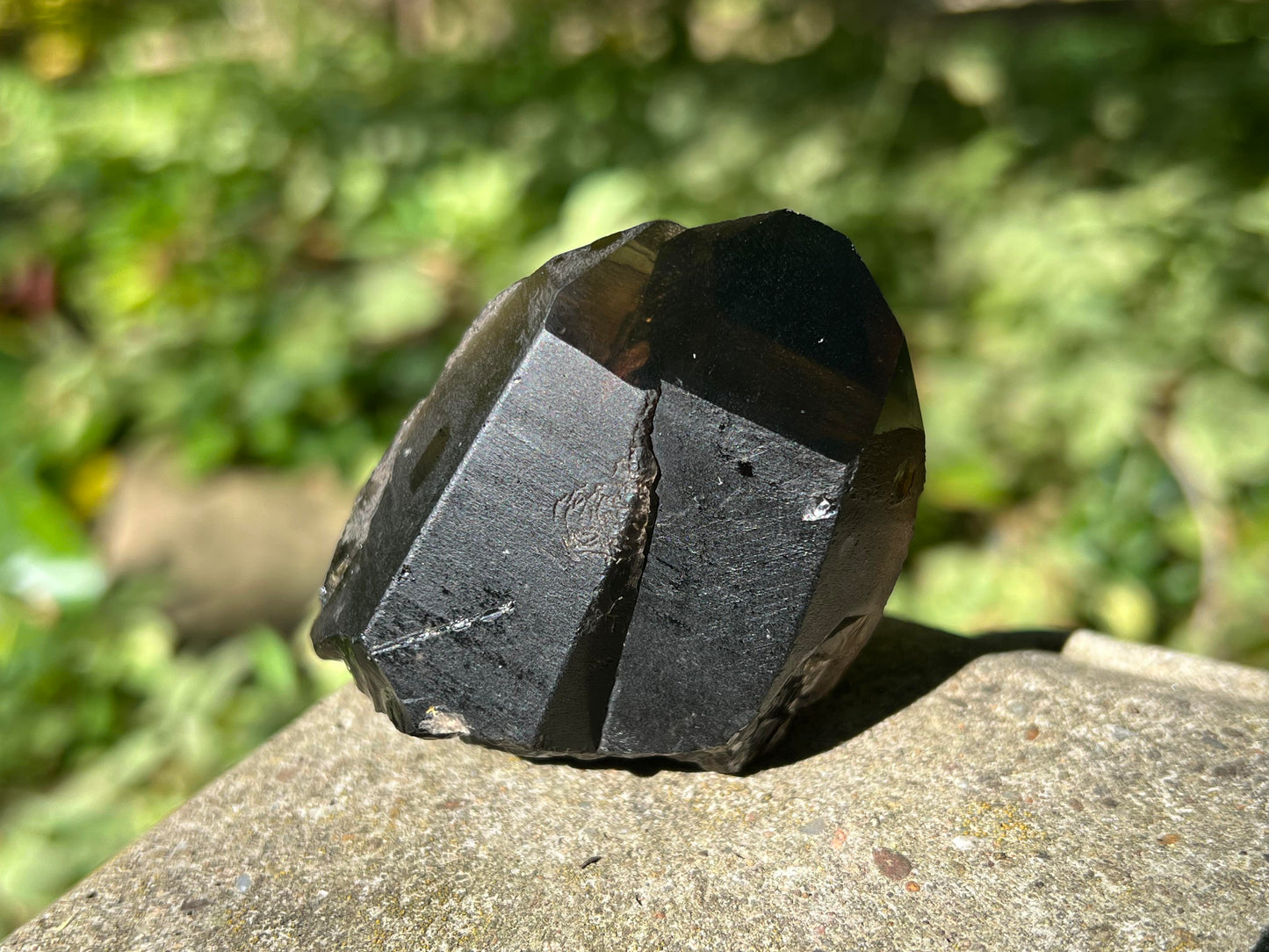 Morion Smoky Quartz Crystal Point Specimen