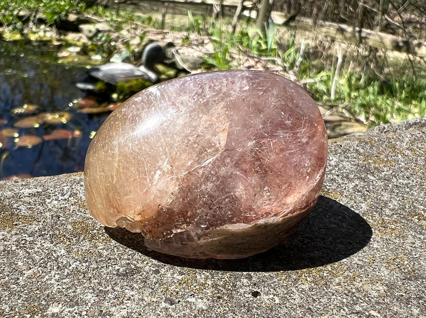 Rutilated Quartz Dome