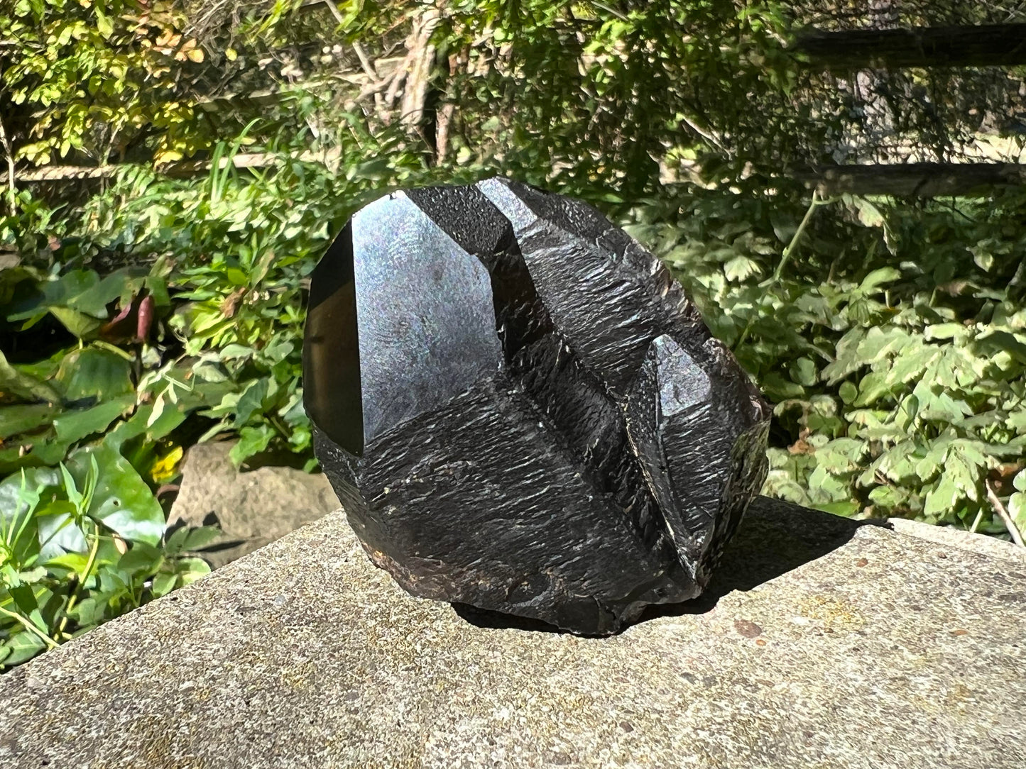 Morion Smoky Quartz Crystal Point Specimen