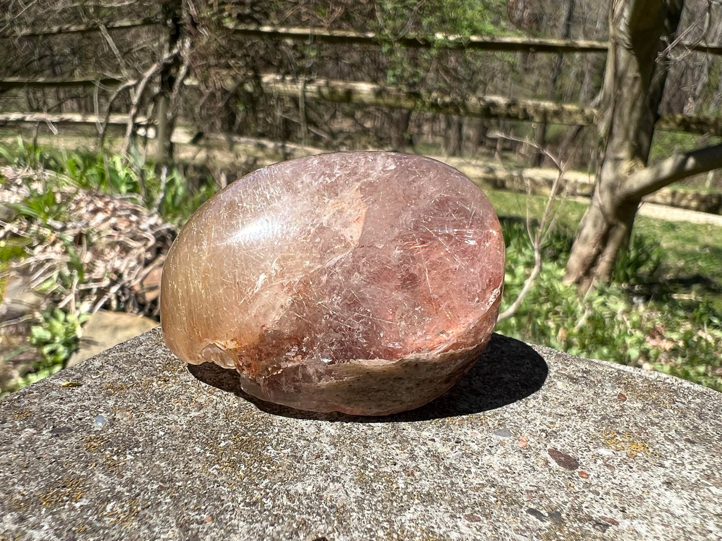 Rutilated Quartz Dome