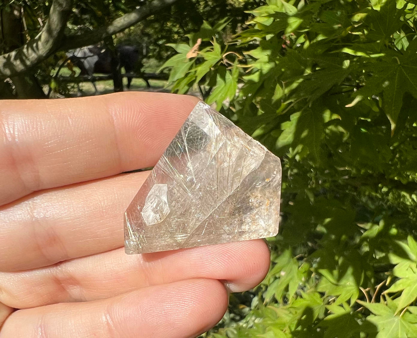Rutilated Quartz Freeform