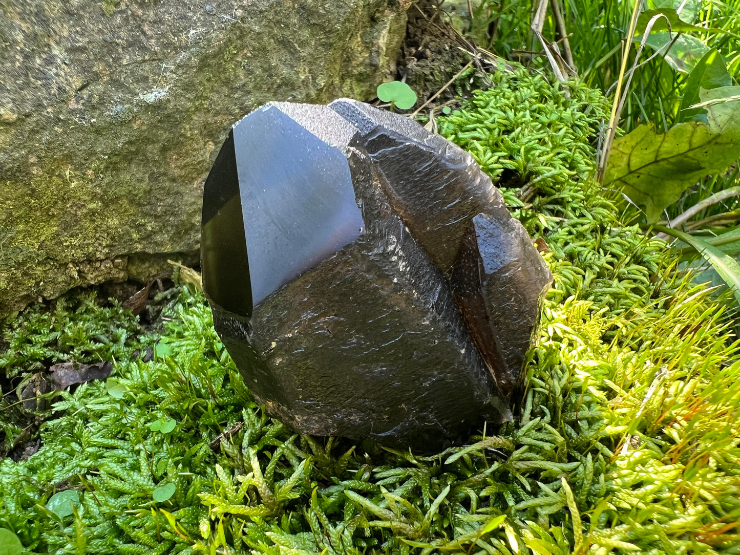 Morion Smoky Quartz Crystal Point Specimen