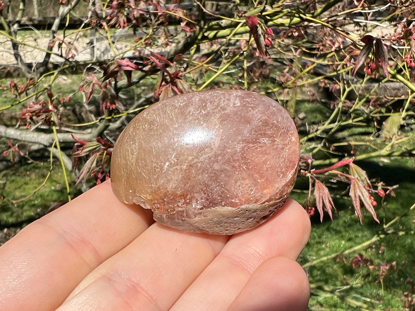 Rutilated Quartz Dome