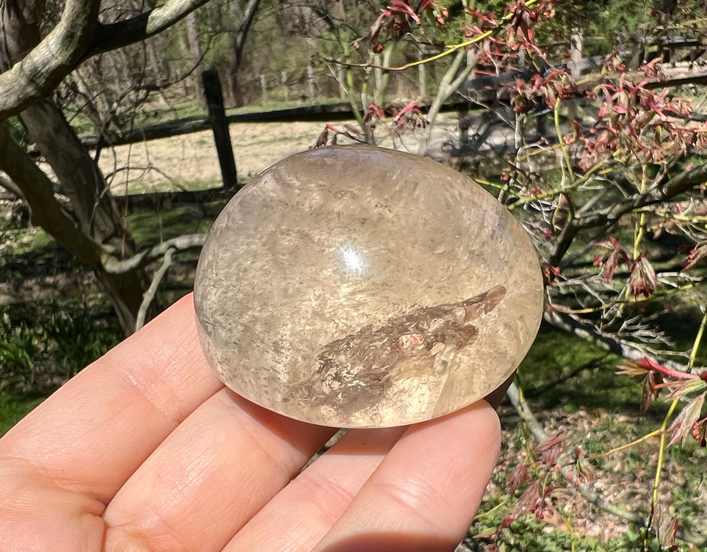 Garden Quartz Dome