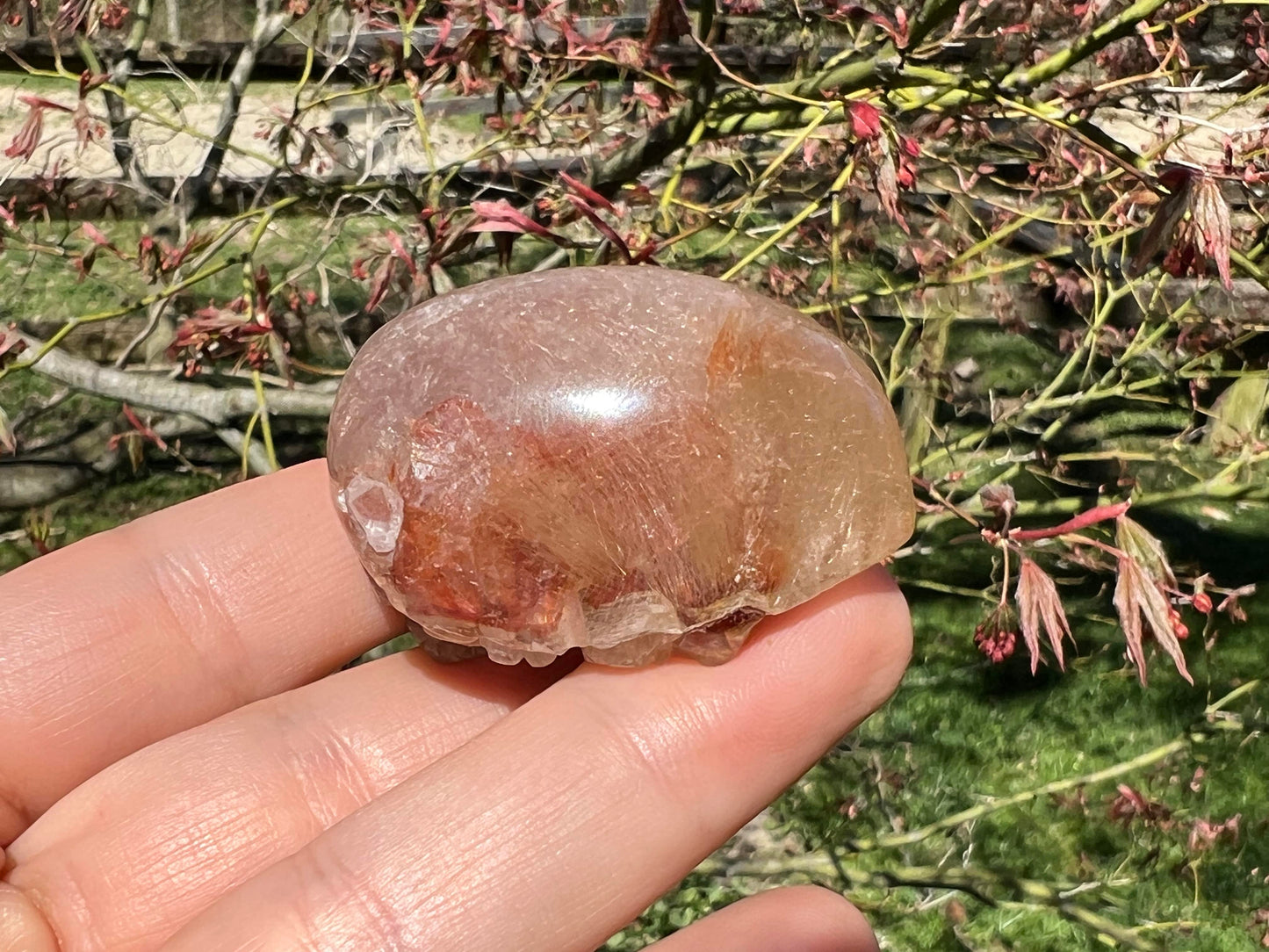 Rutilated Quartz Dome