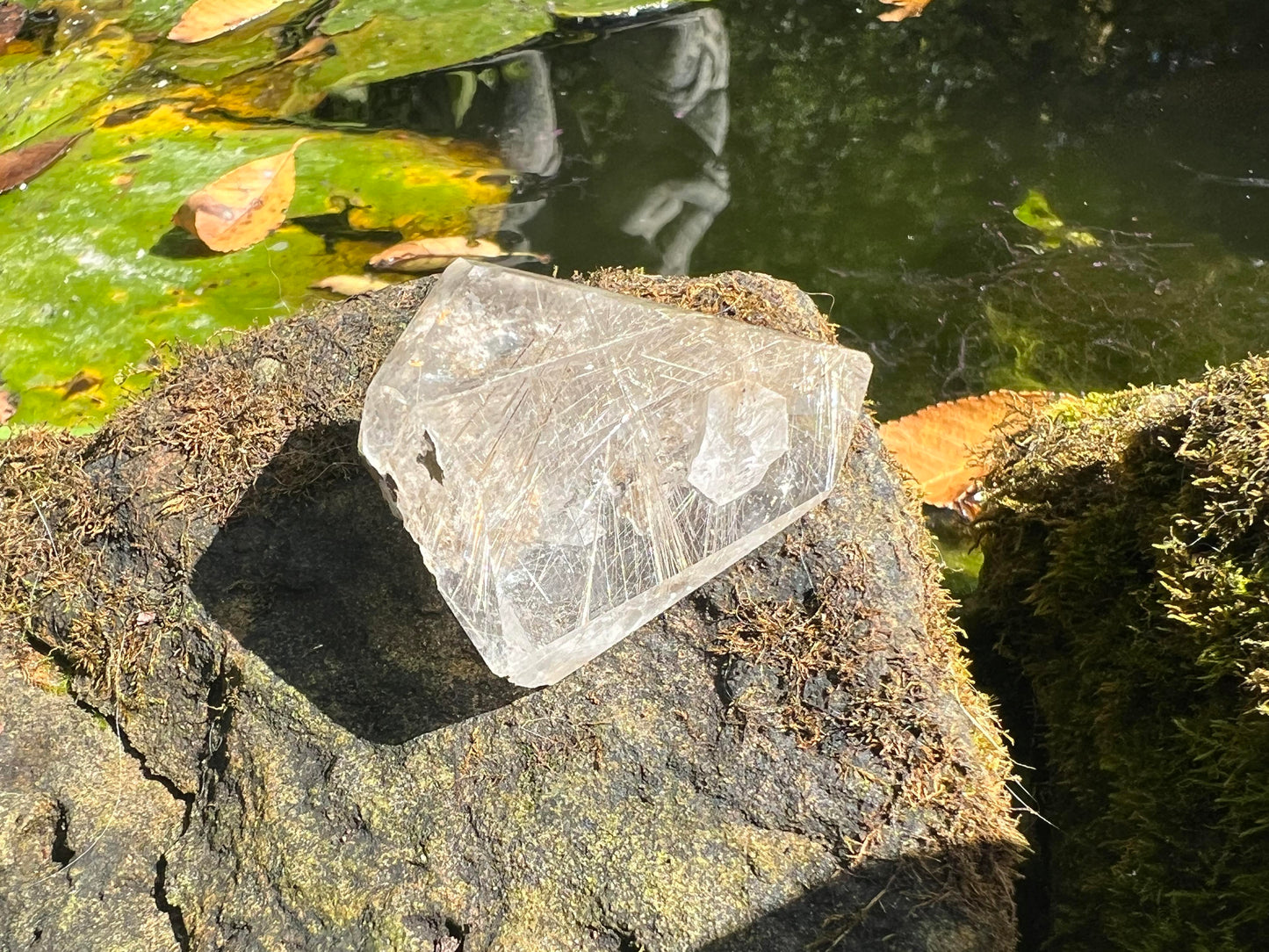 Rutilated Quartz Freeform