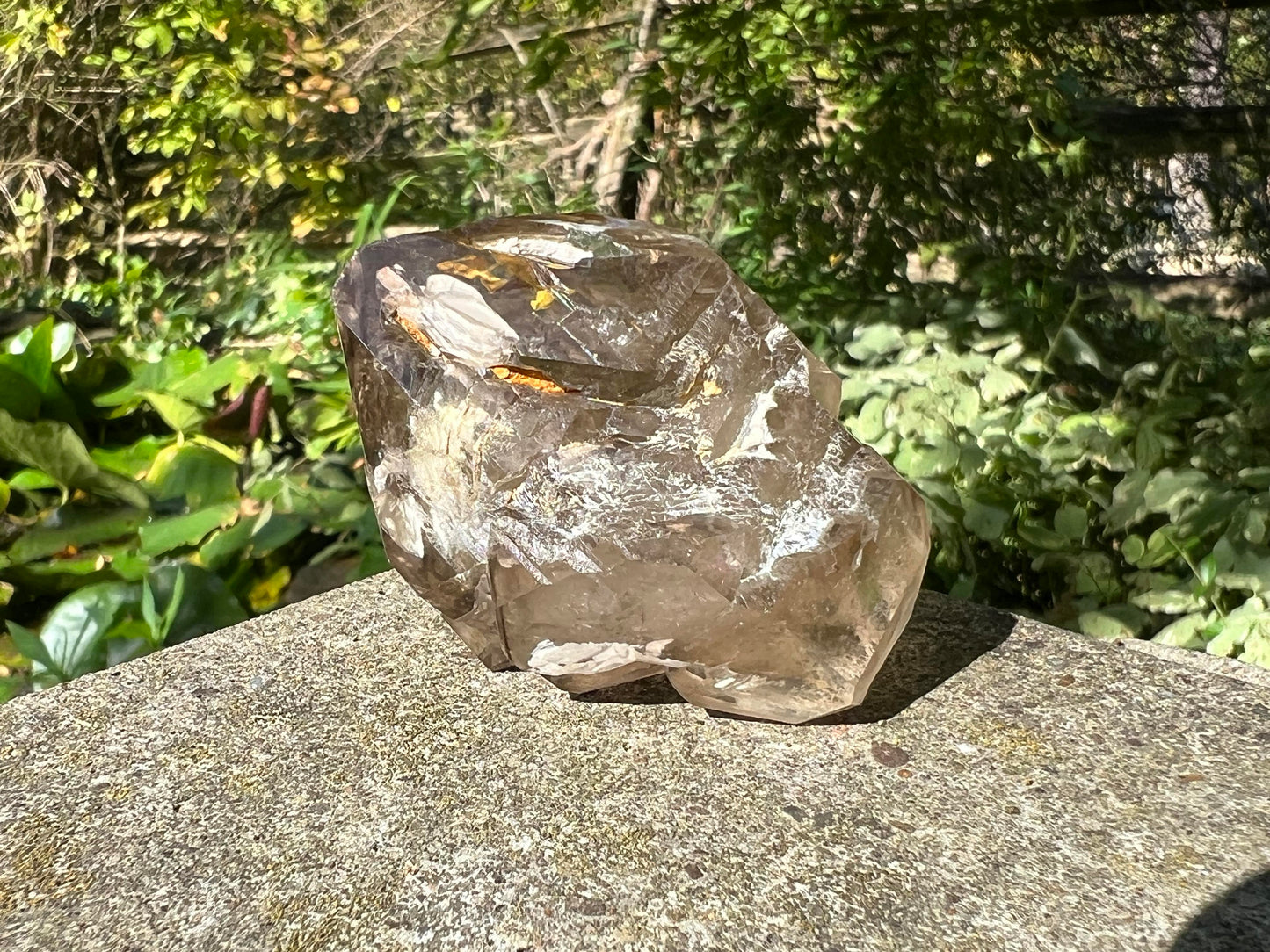 Smoky Elestial Quartz Crystal