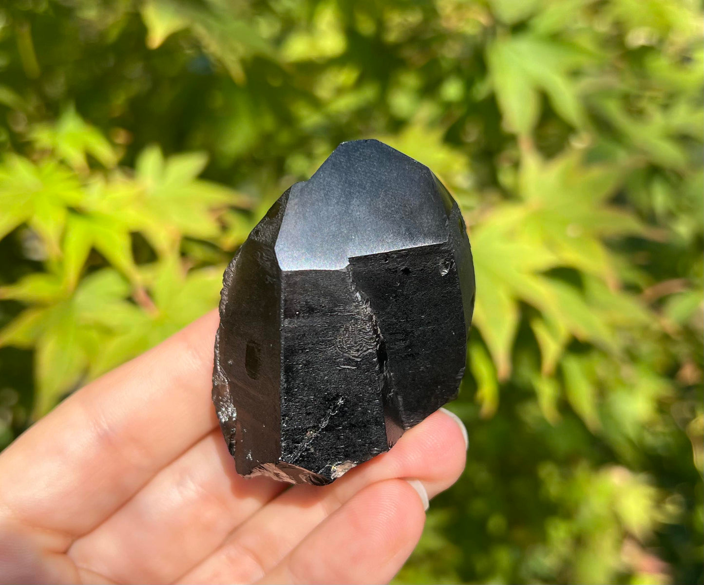 Morion Smoky Quartz Crystal Point Specimen