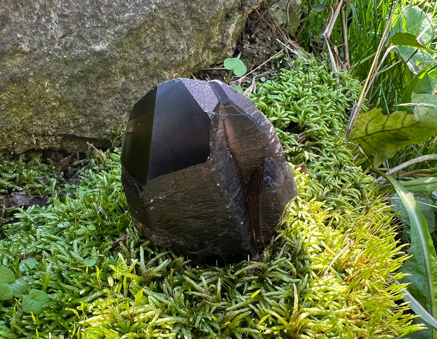 Morion Smoky Quartz Crystal Point Specimen