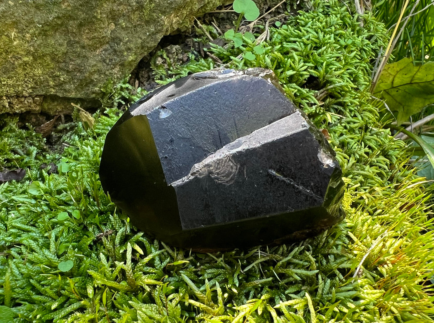 Morion Smoky Quartz Crystal Point Specimen