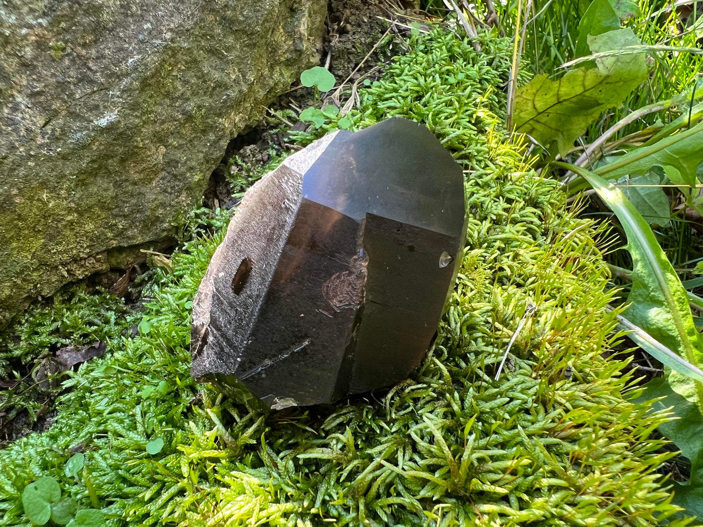 Morion Smoky Quartz Crystal Point Specimen