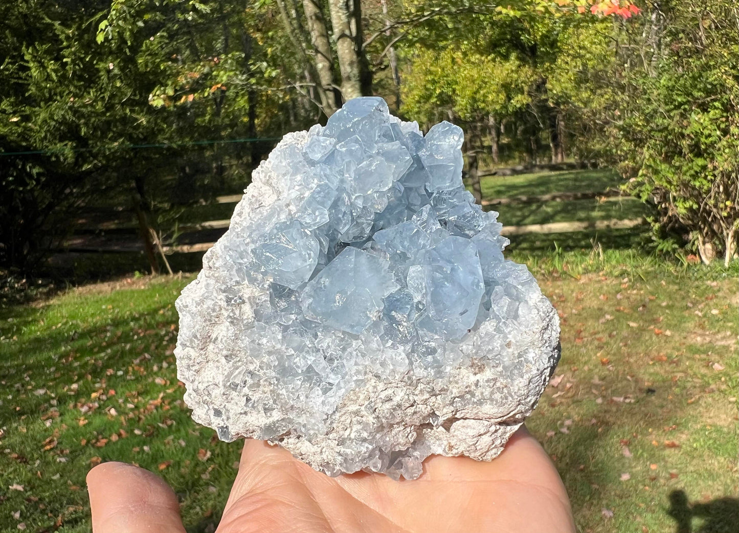 Celestite Cluster Specimen ~ Madagascar