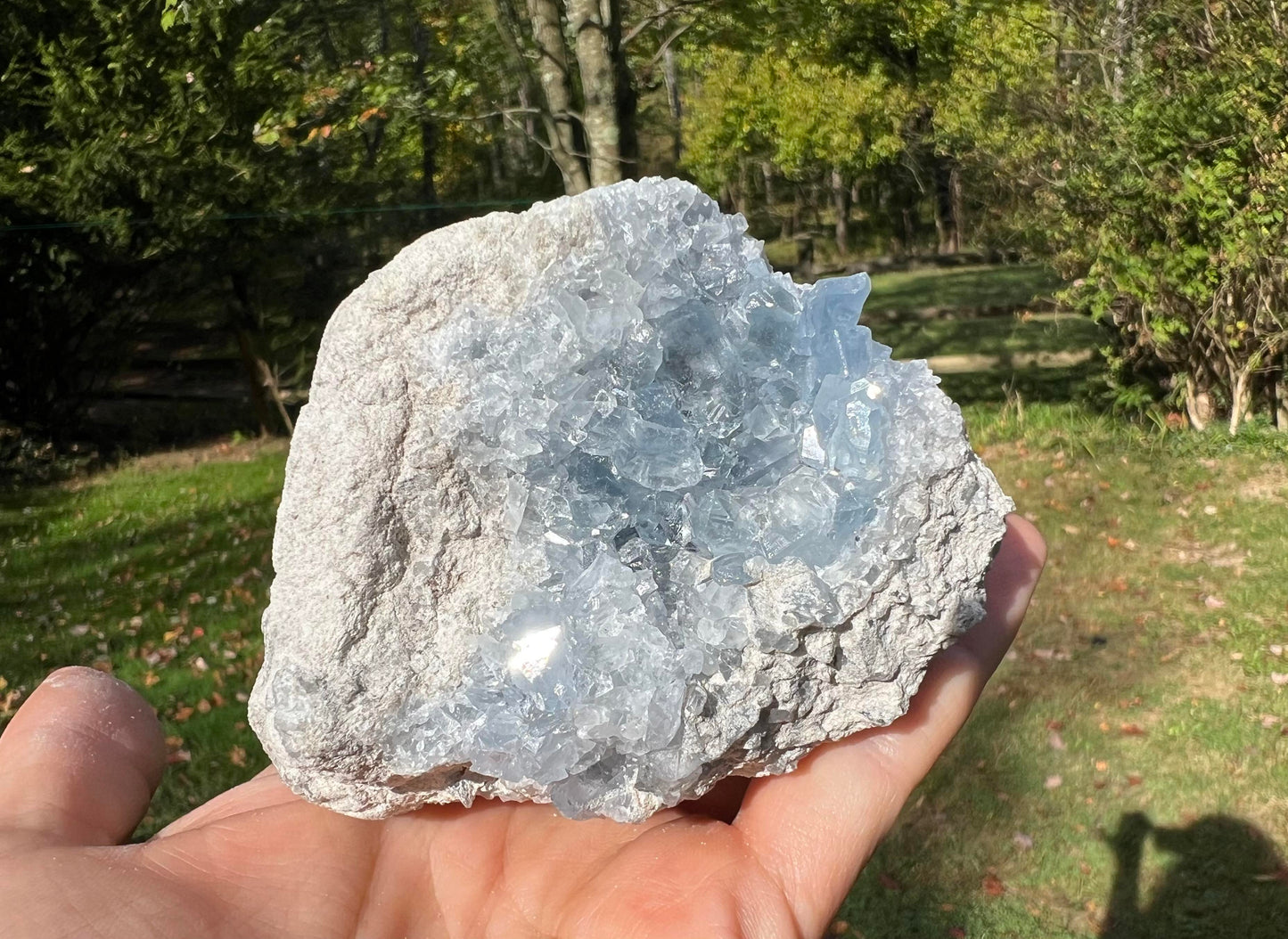 Celestite Cluster Specimen ~ Madagascar