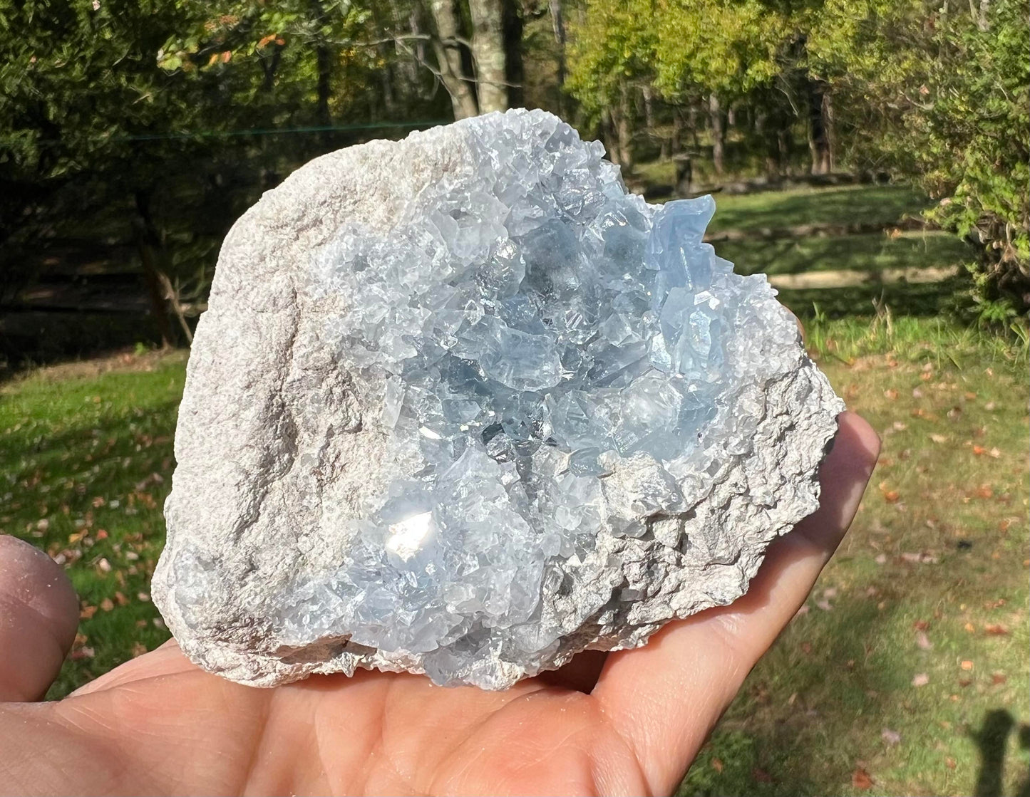 Celestite Cluster Specimen ~ Madagascar