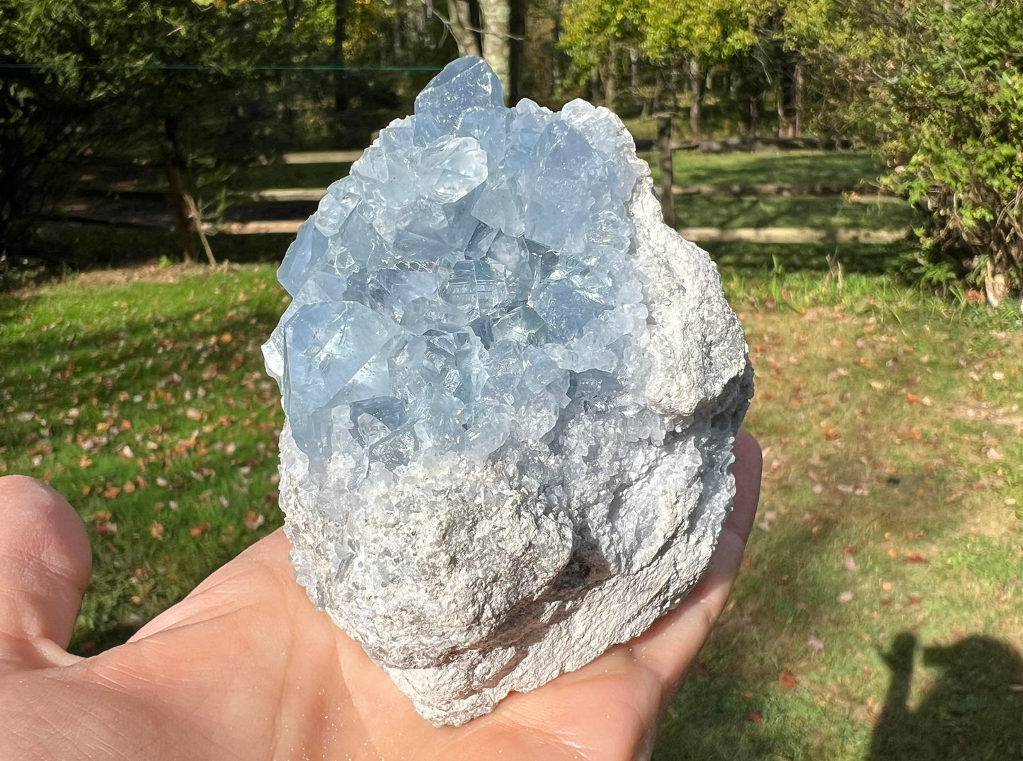 Celestite Cluster Specimen ~ Madagascar