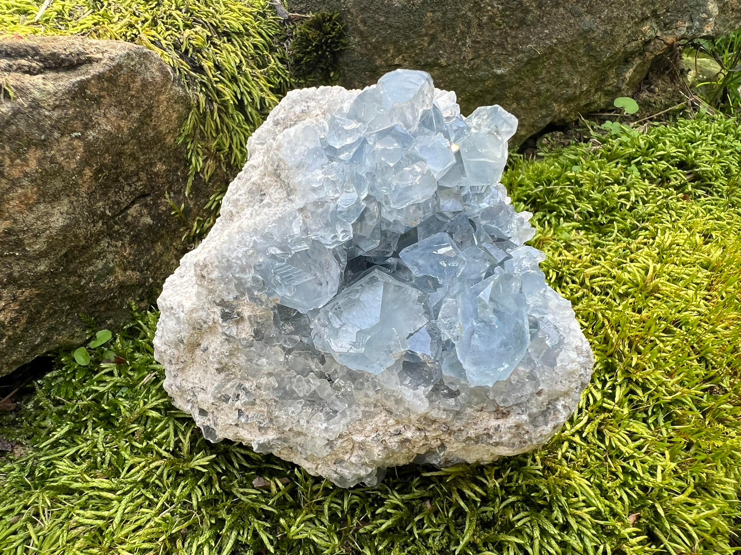 Celestite Cluster Specimen ~ Madagascar