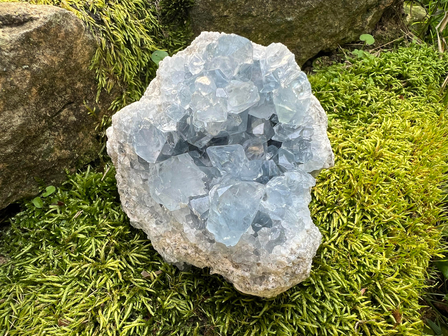 Celestite Cluster Specimen ~ Madagascar