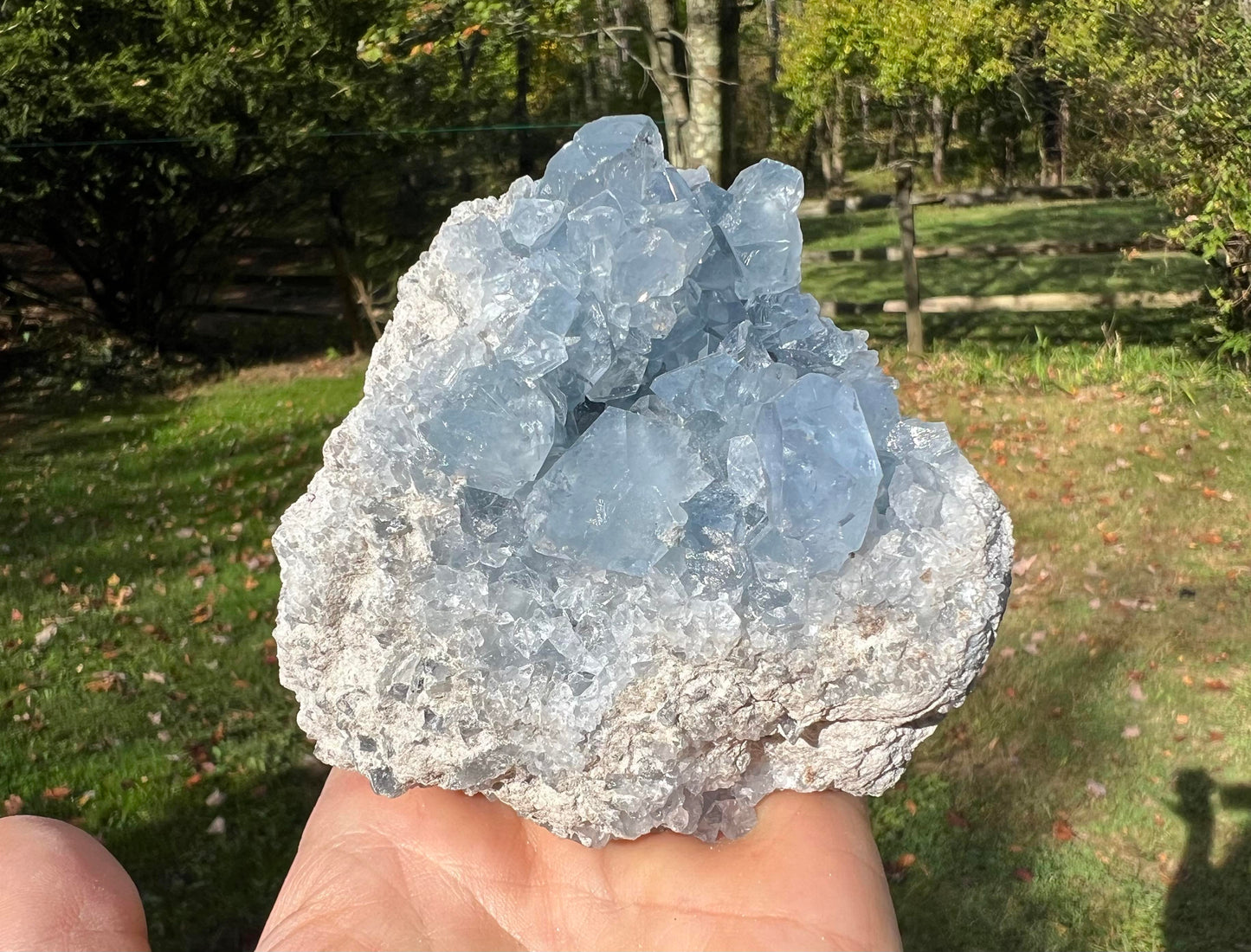 Celestite Cluster Specimen ~ Madagascar