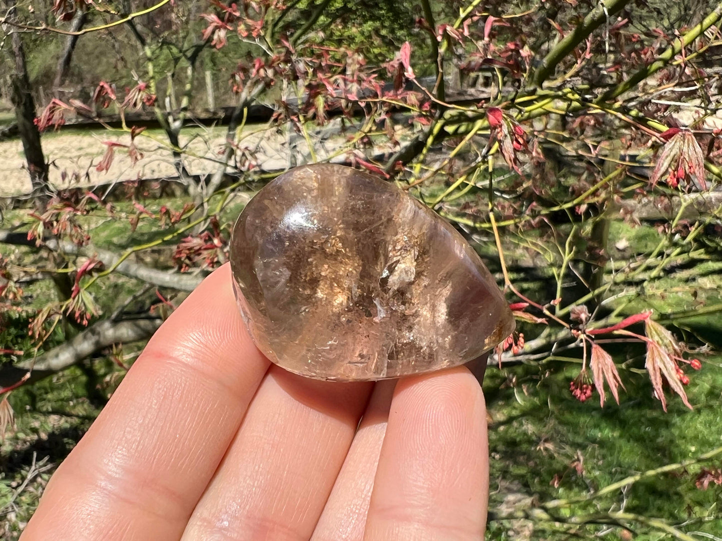 Garden Quartz Dome