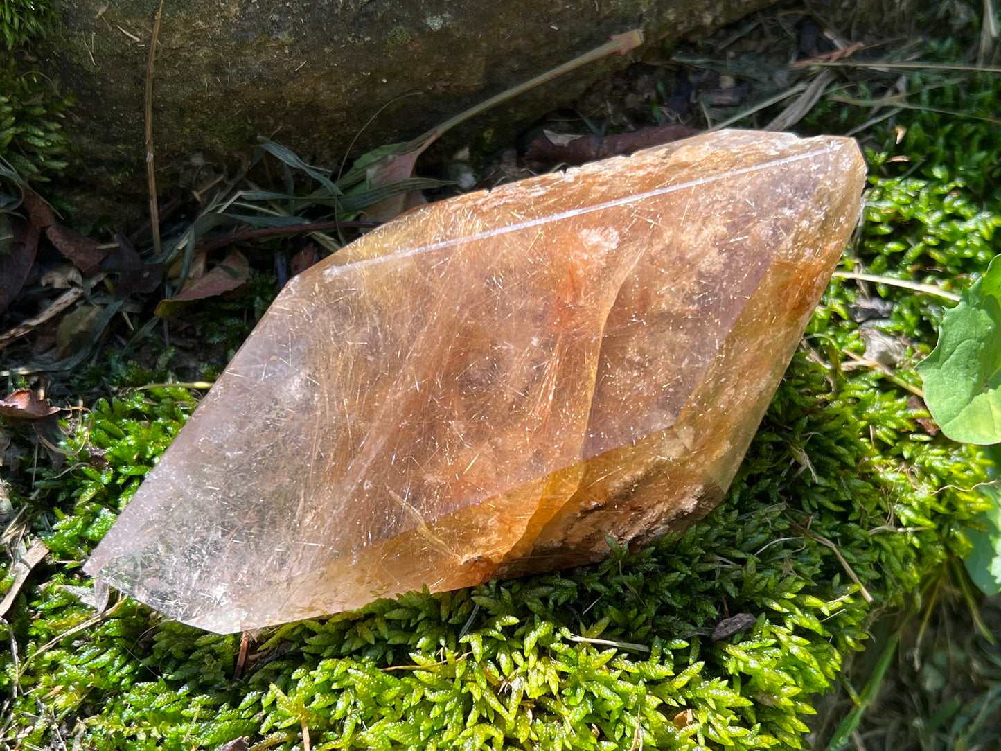 Rutilated Quartz Double-Terminated Freeform