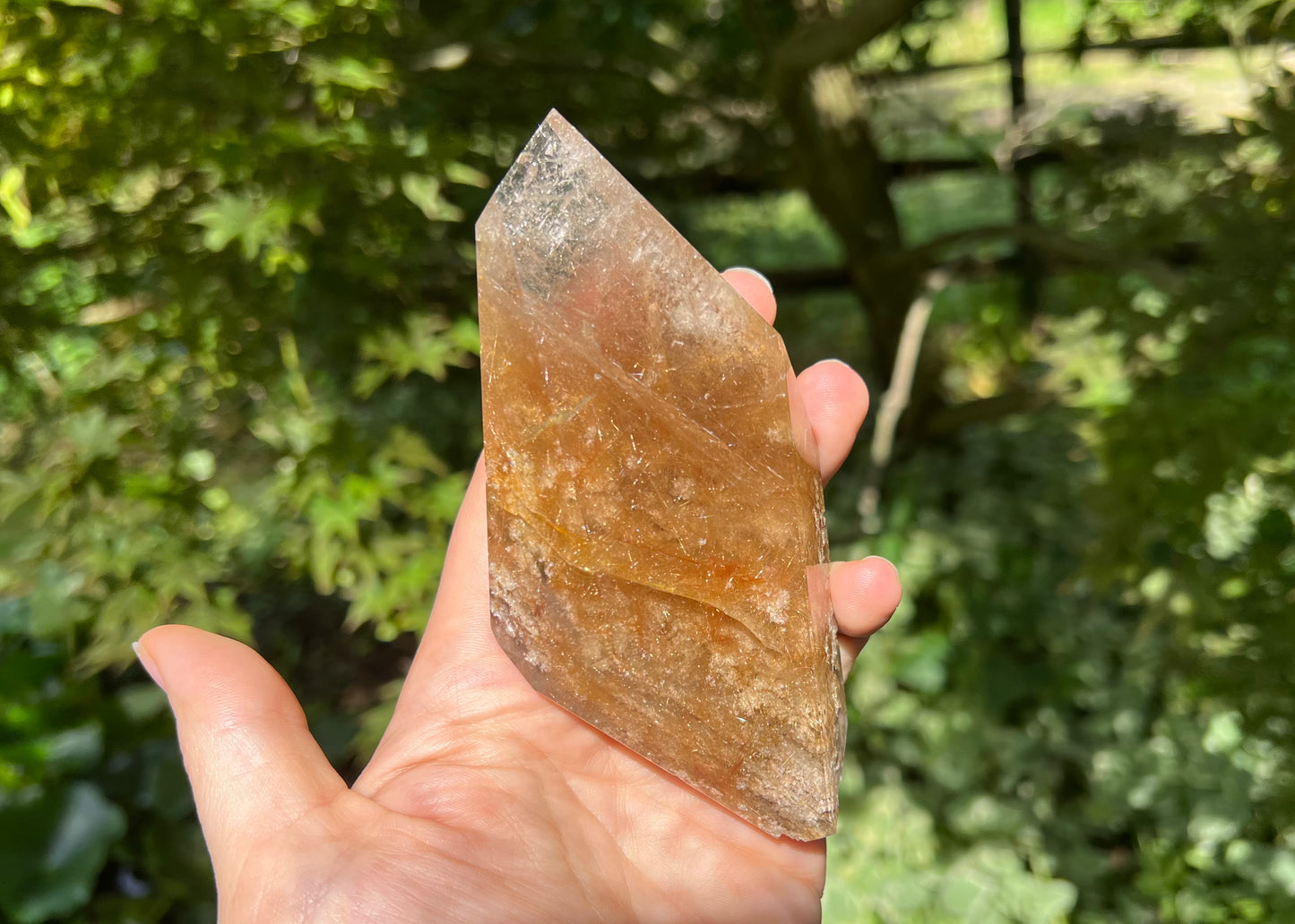 Rutilated Quartz Double-Terminated Freeform