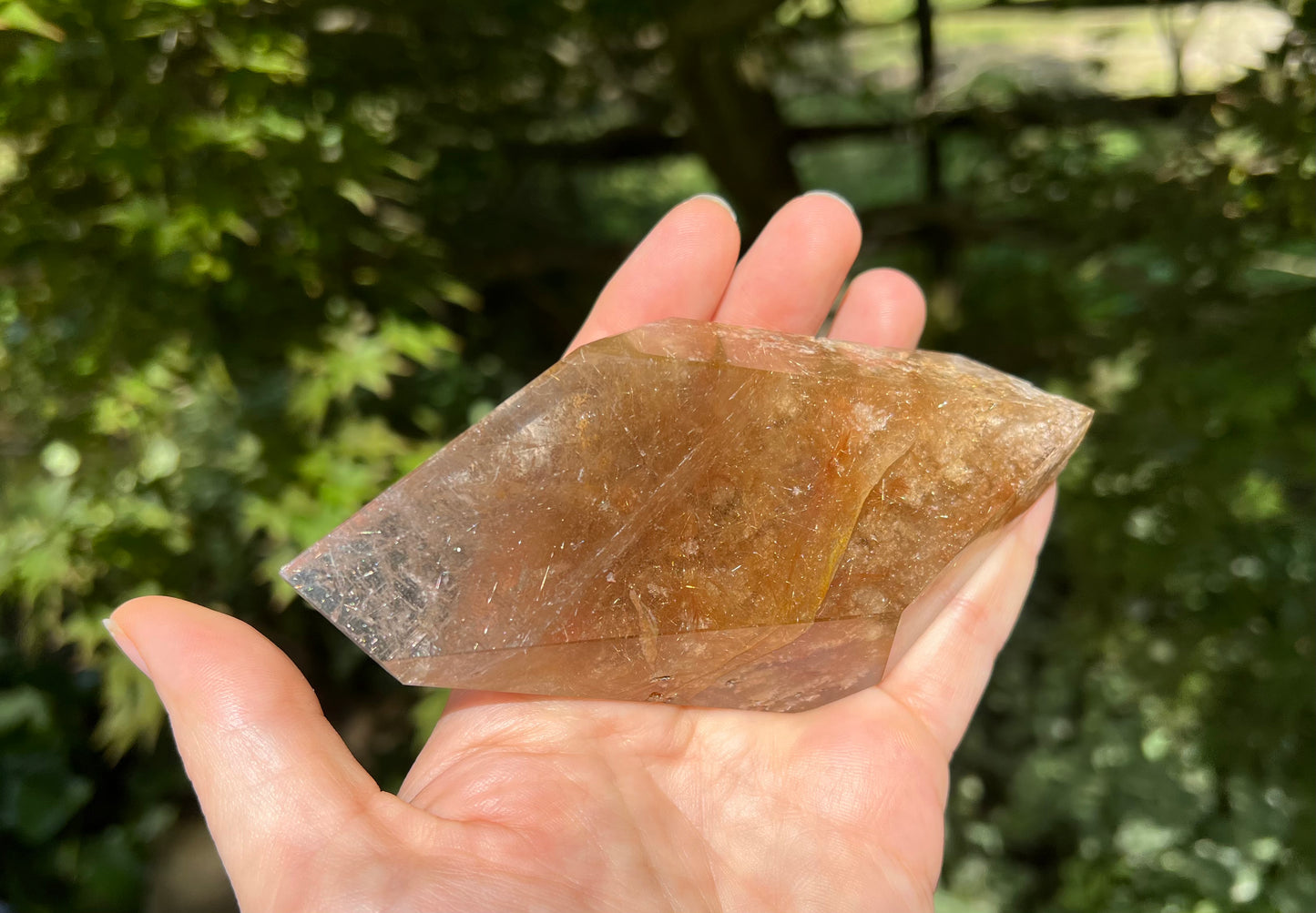 Rutilated Quartz Double-Terminated Freeform