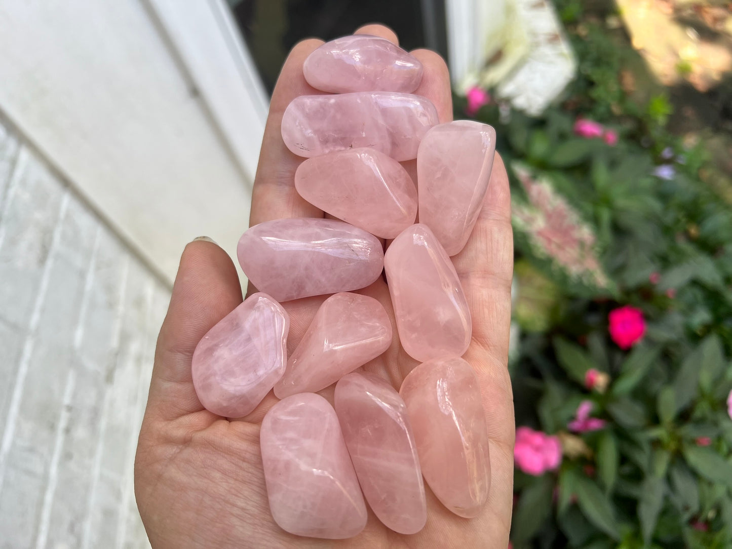Rose Quartz Tumbled Stones