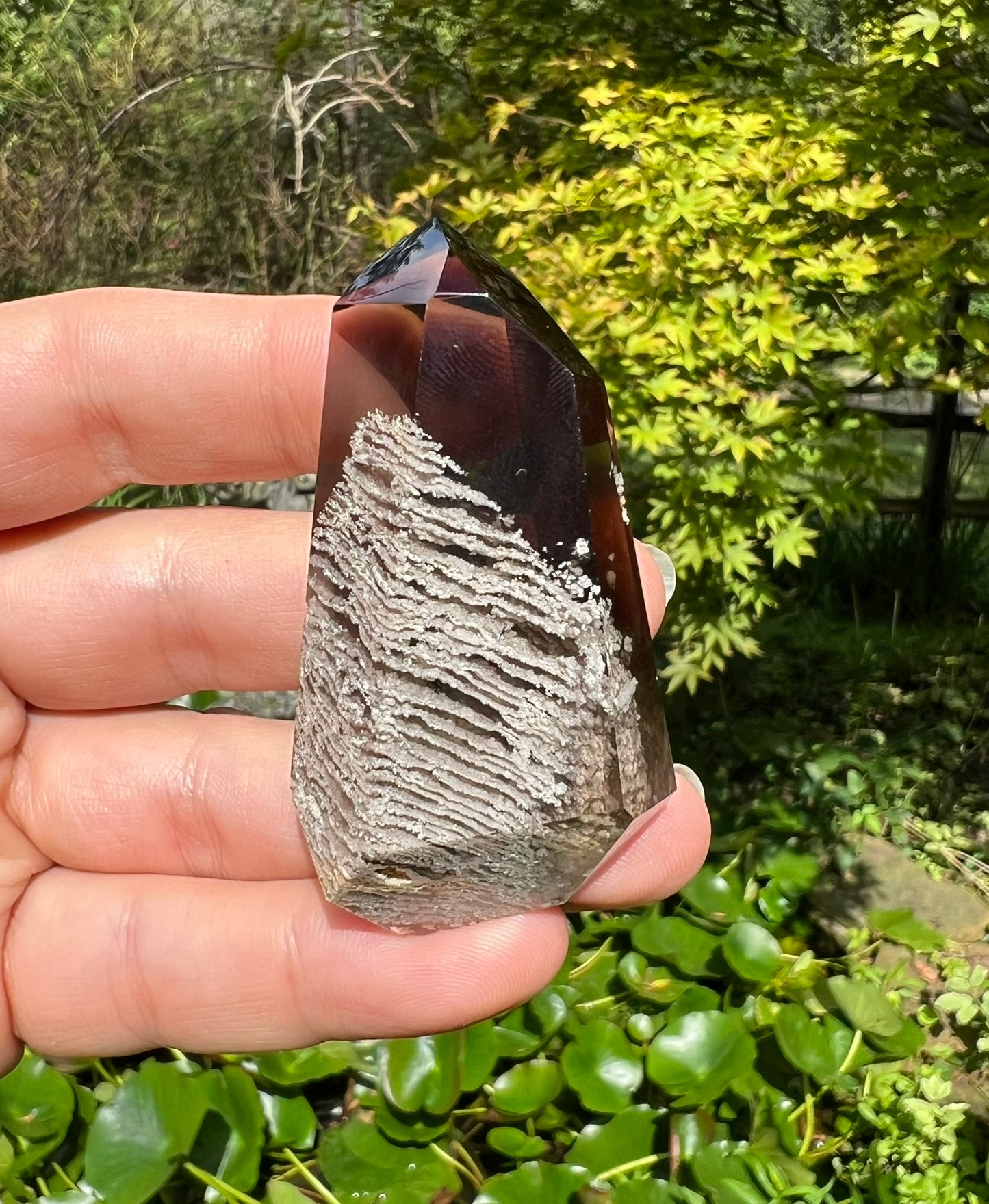 Smoky Garden Quartz Freeform ~ Brazil