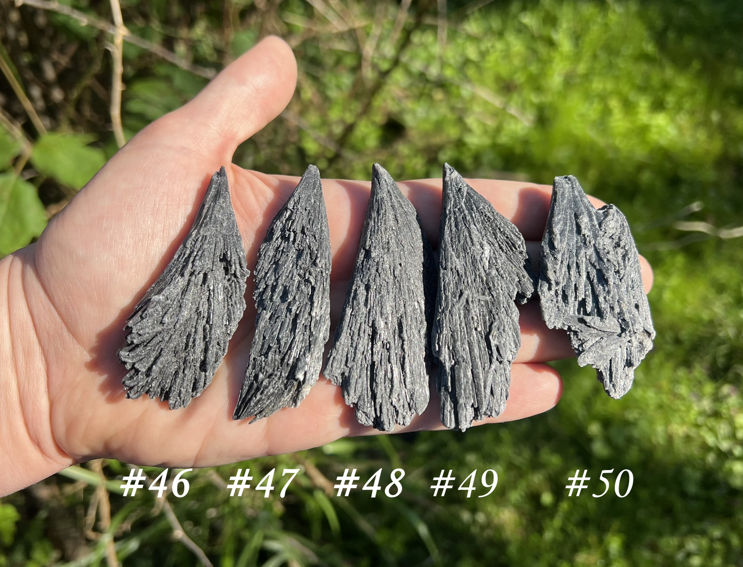 Black Kyanite Specimens - Gem Realm