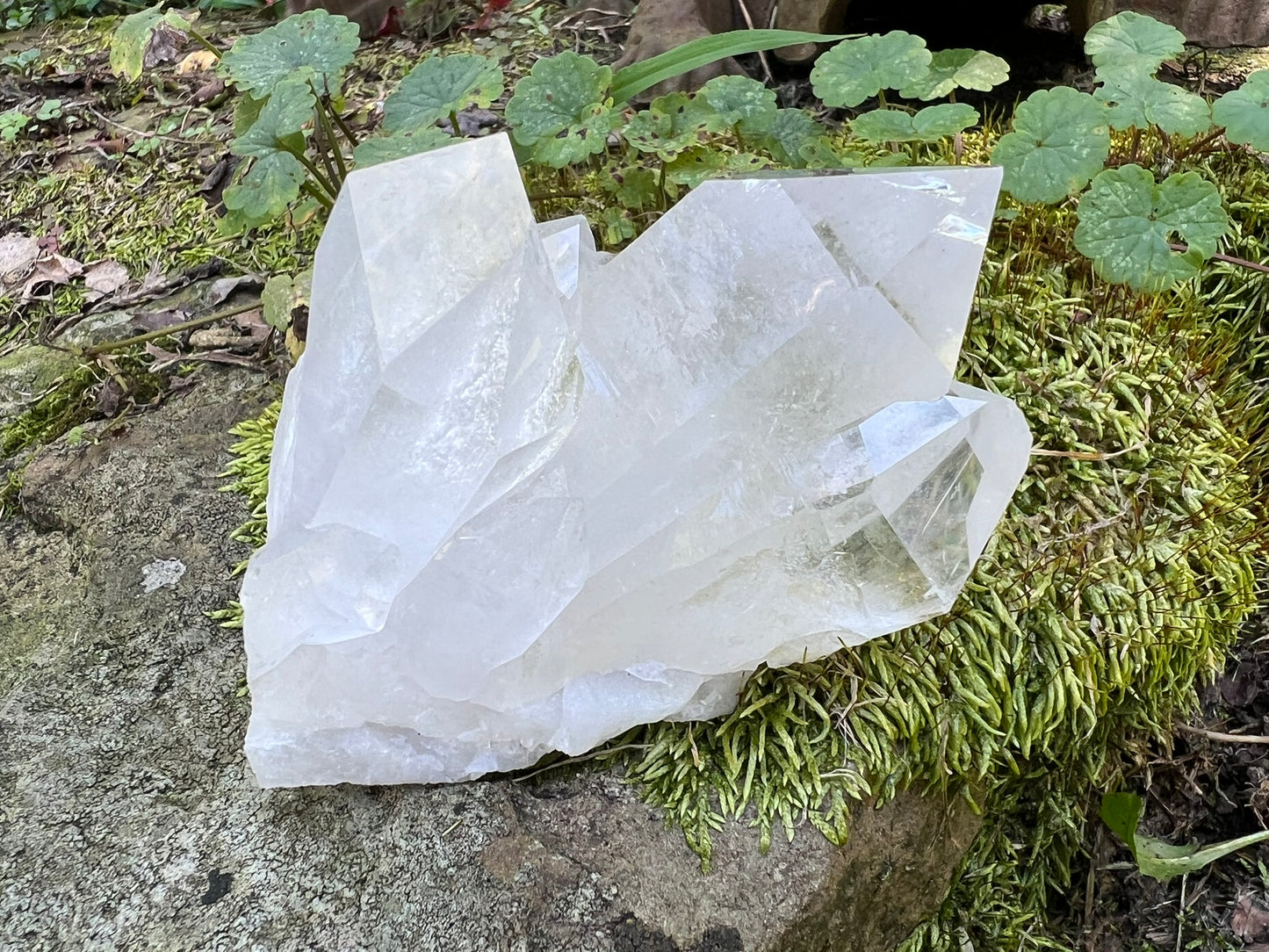 Quartz Crystal Cluster