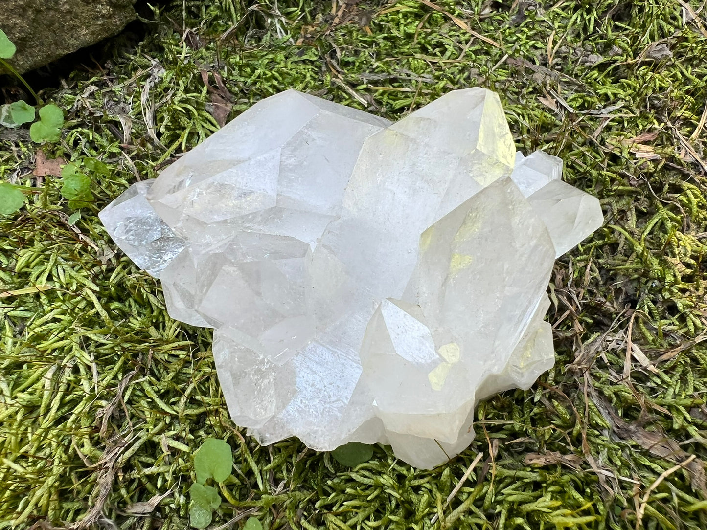 Quartz Crystal Cluster