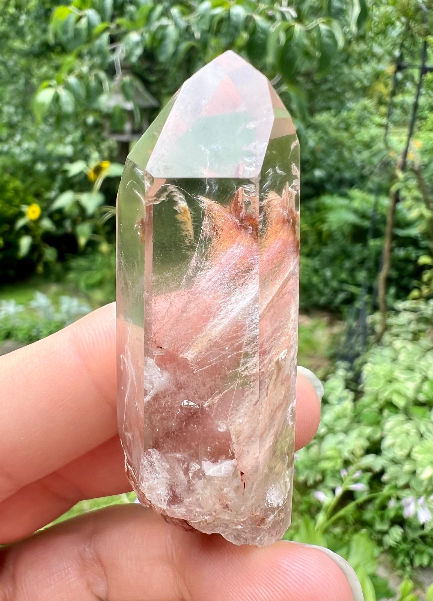 Amphibole Quartz Point