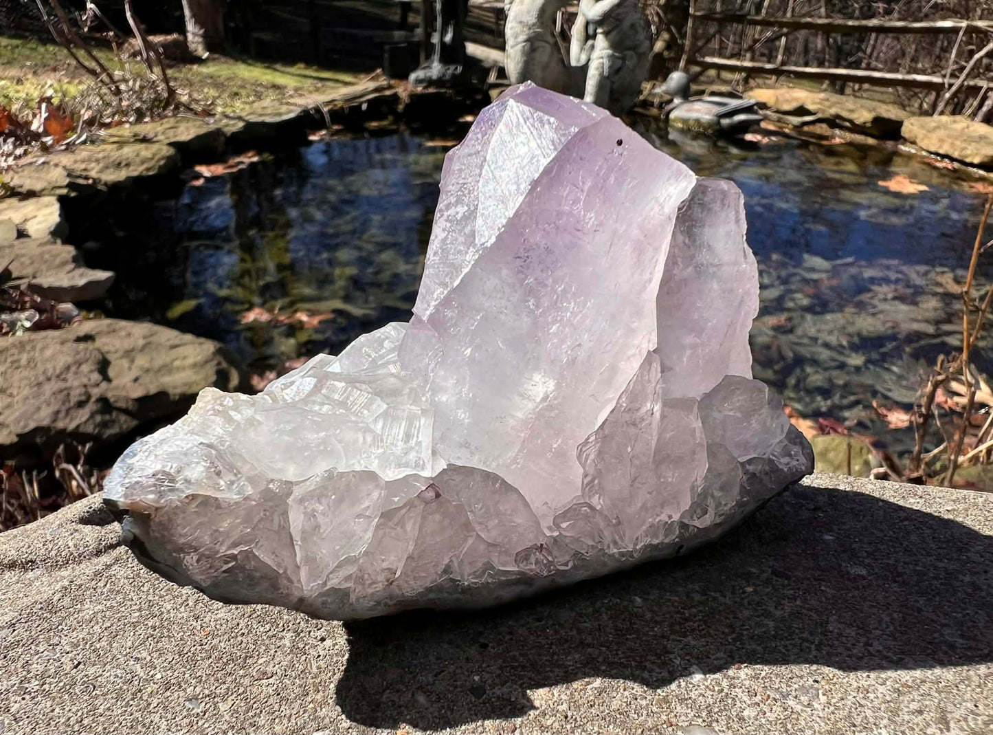 Amethyst Cluster Specimen ~ Brazil