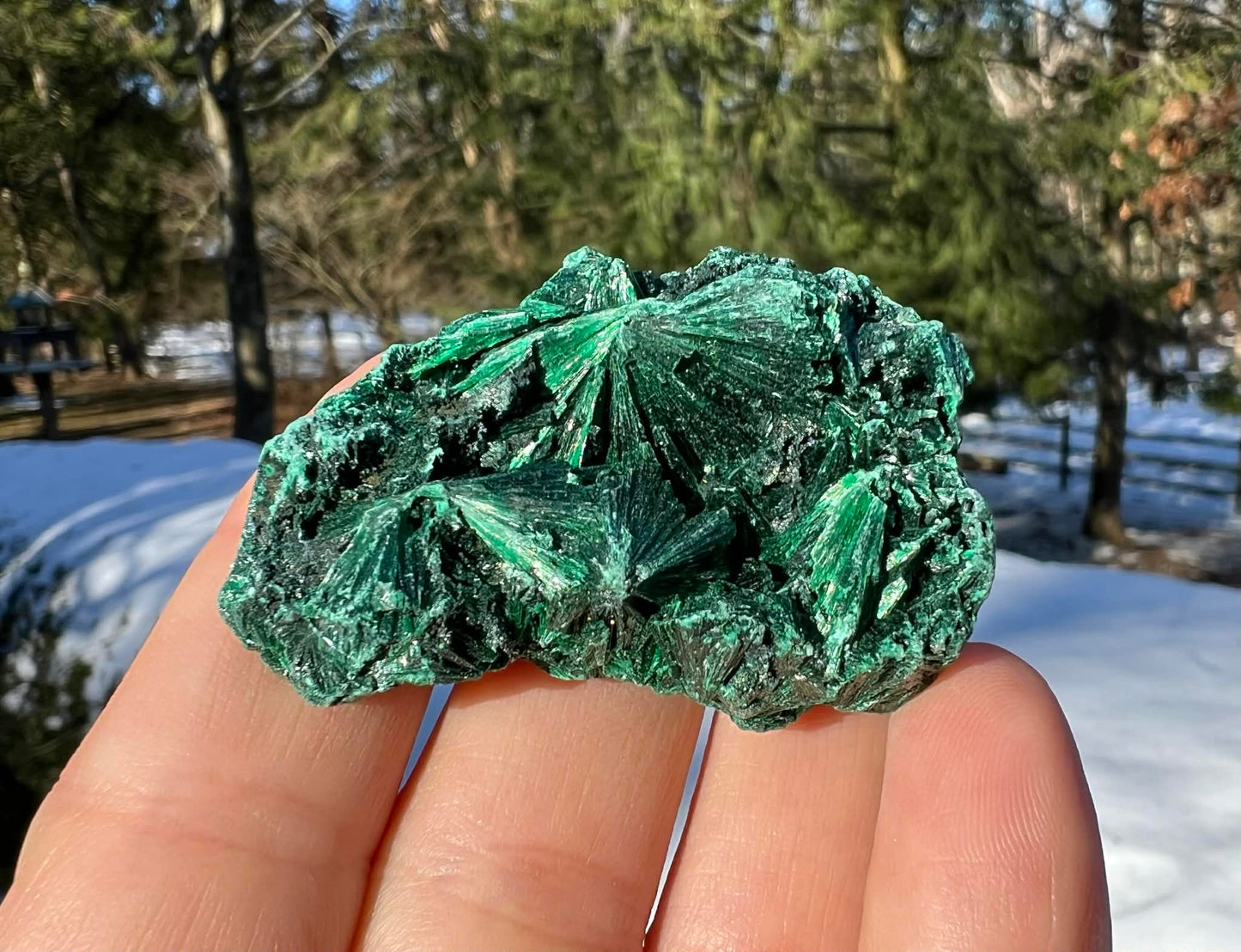 Silk Malachite Specimen #6