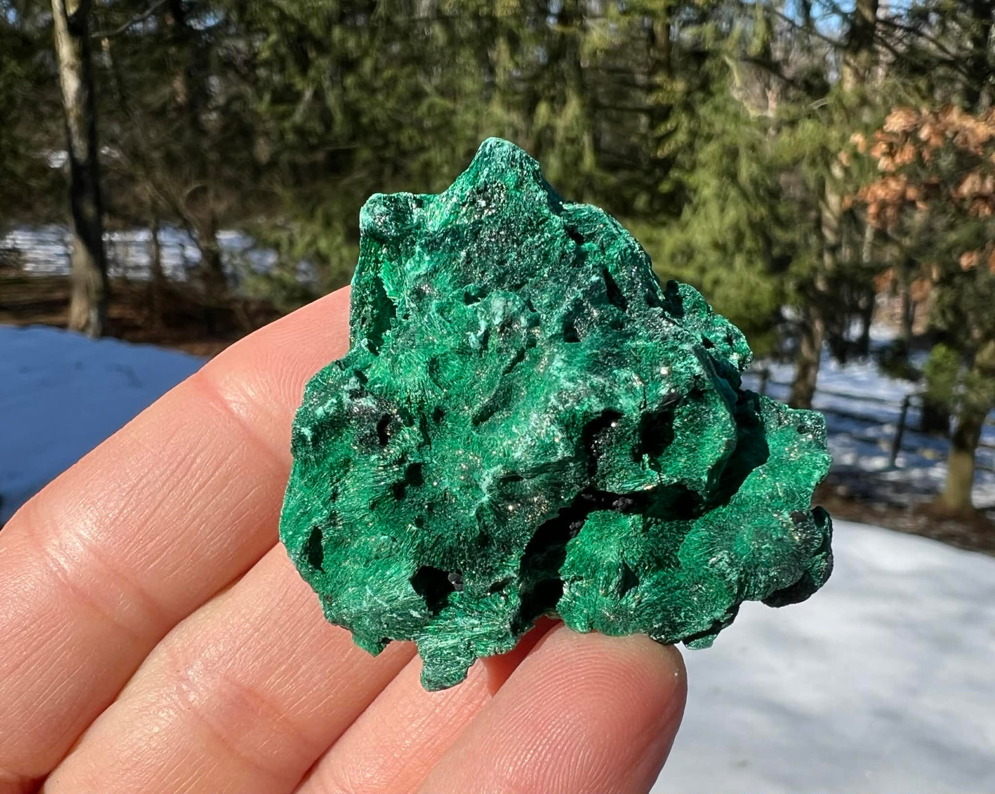 Silk Malachite Specimen #24 - Gem Realm