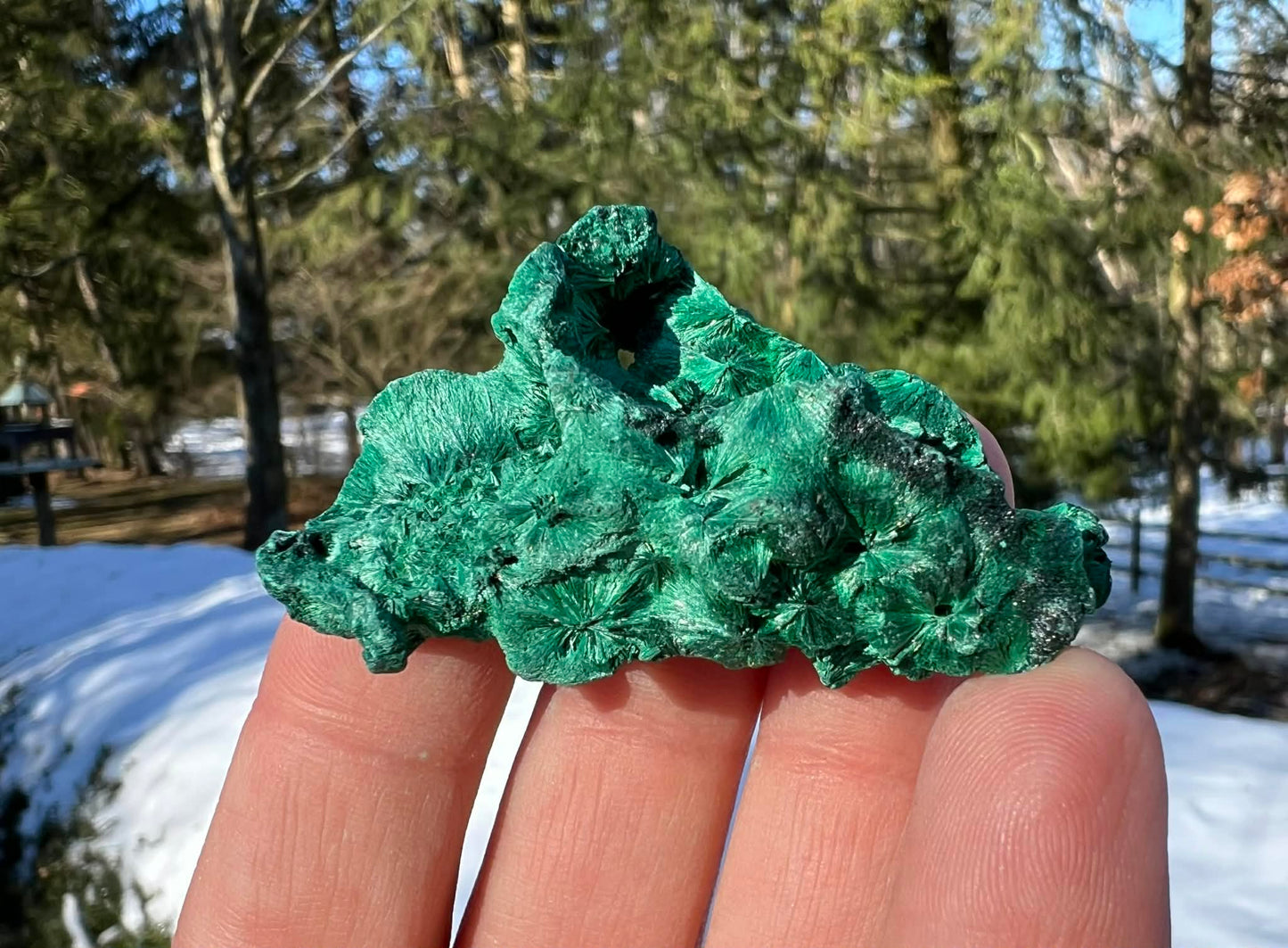 Silk Malachite Specimen #11 - Gem Realm