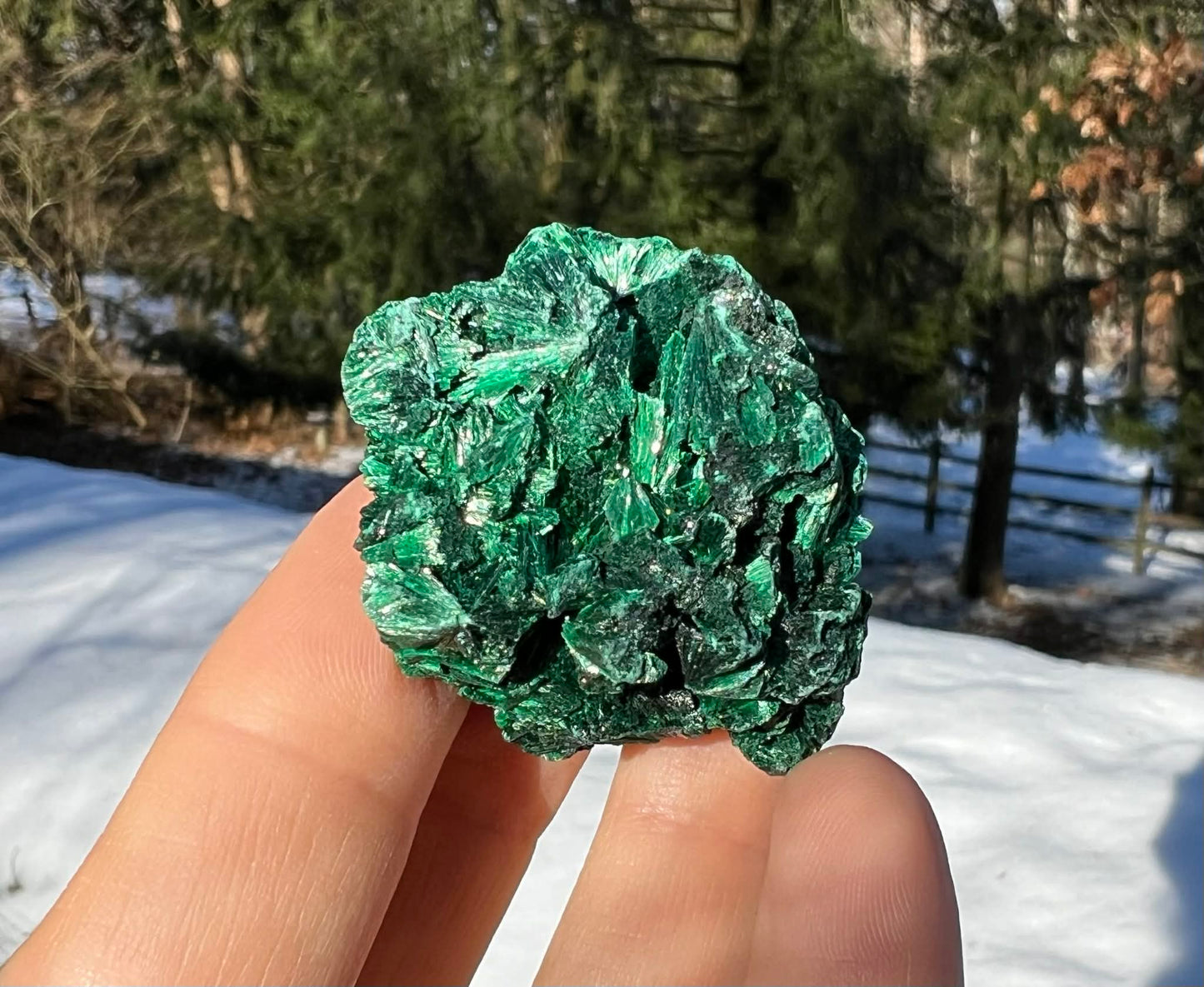 Silk Malachite Specimen #2