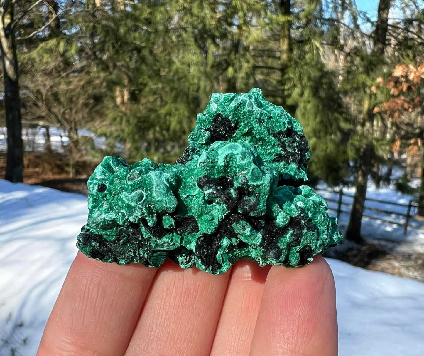 Silk Malachite Specimen #9 - Gem Realm