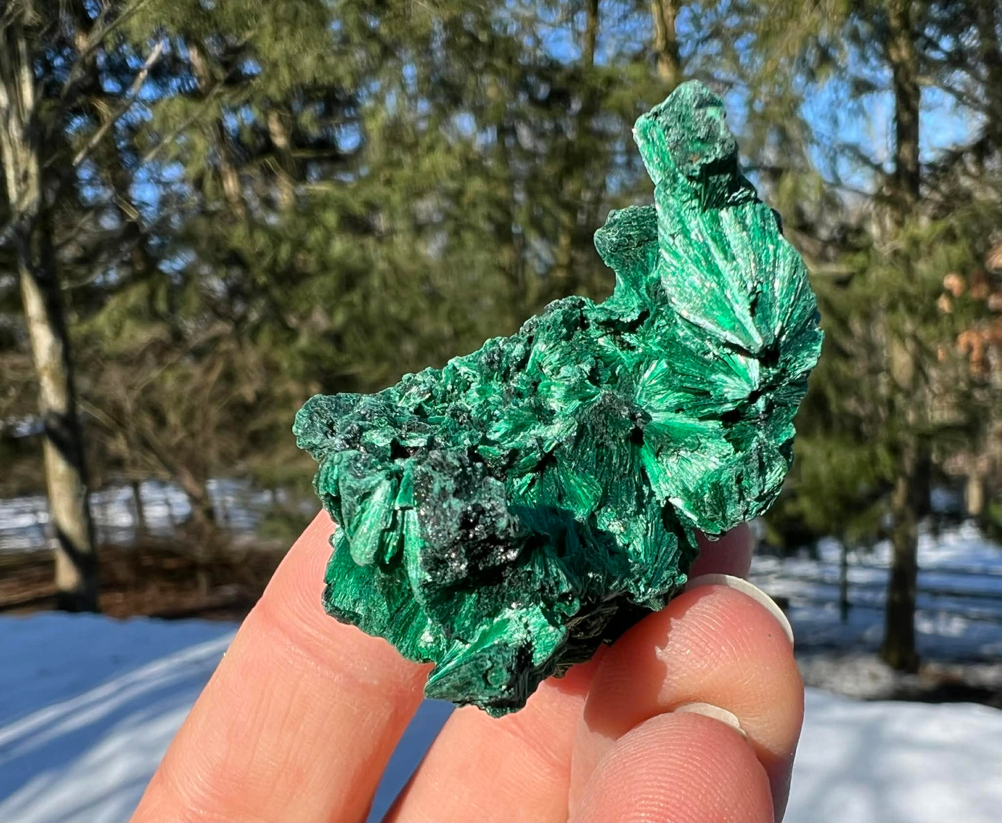 Silk Malachite Specimen #13 - Gem Realm