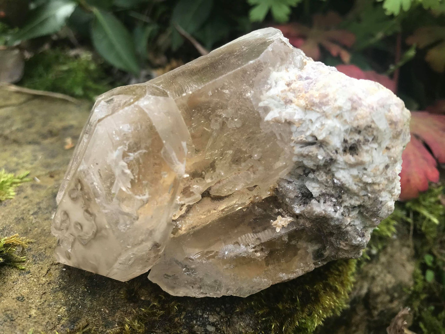 Smoky Elestial Quartz Point Specimen - Gem Realm