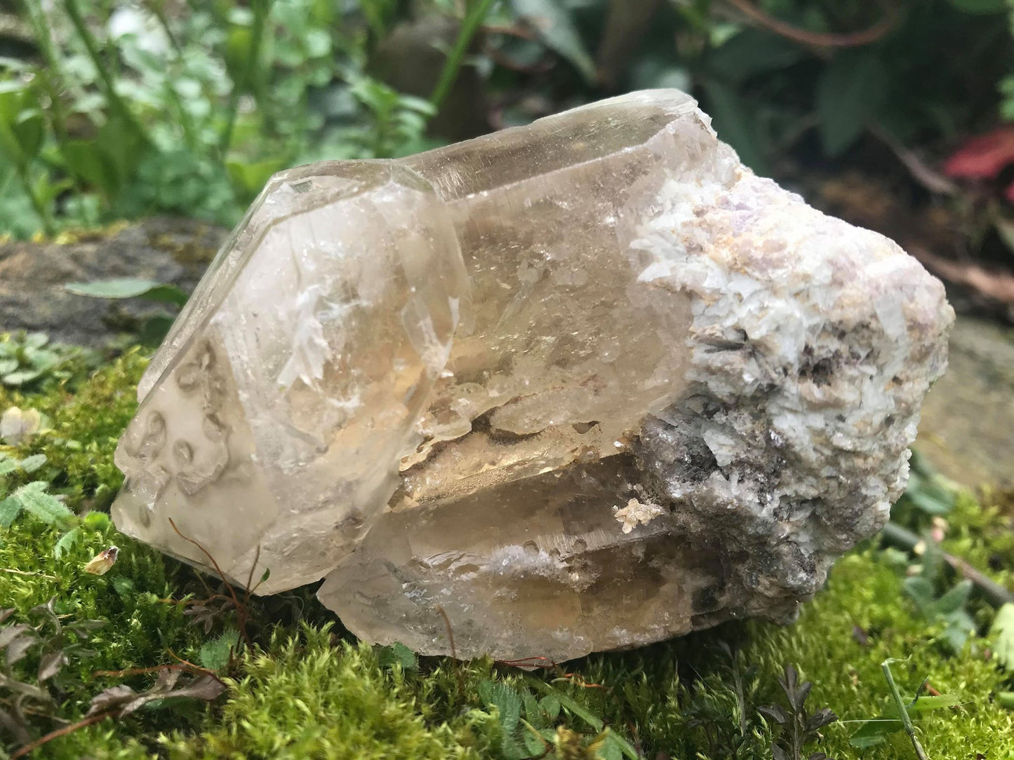 Smoky Elestial Quartz Point Specimen - Gem Realm