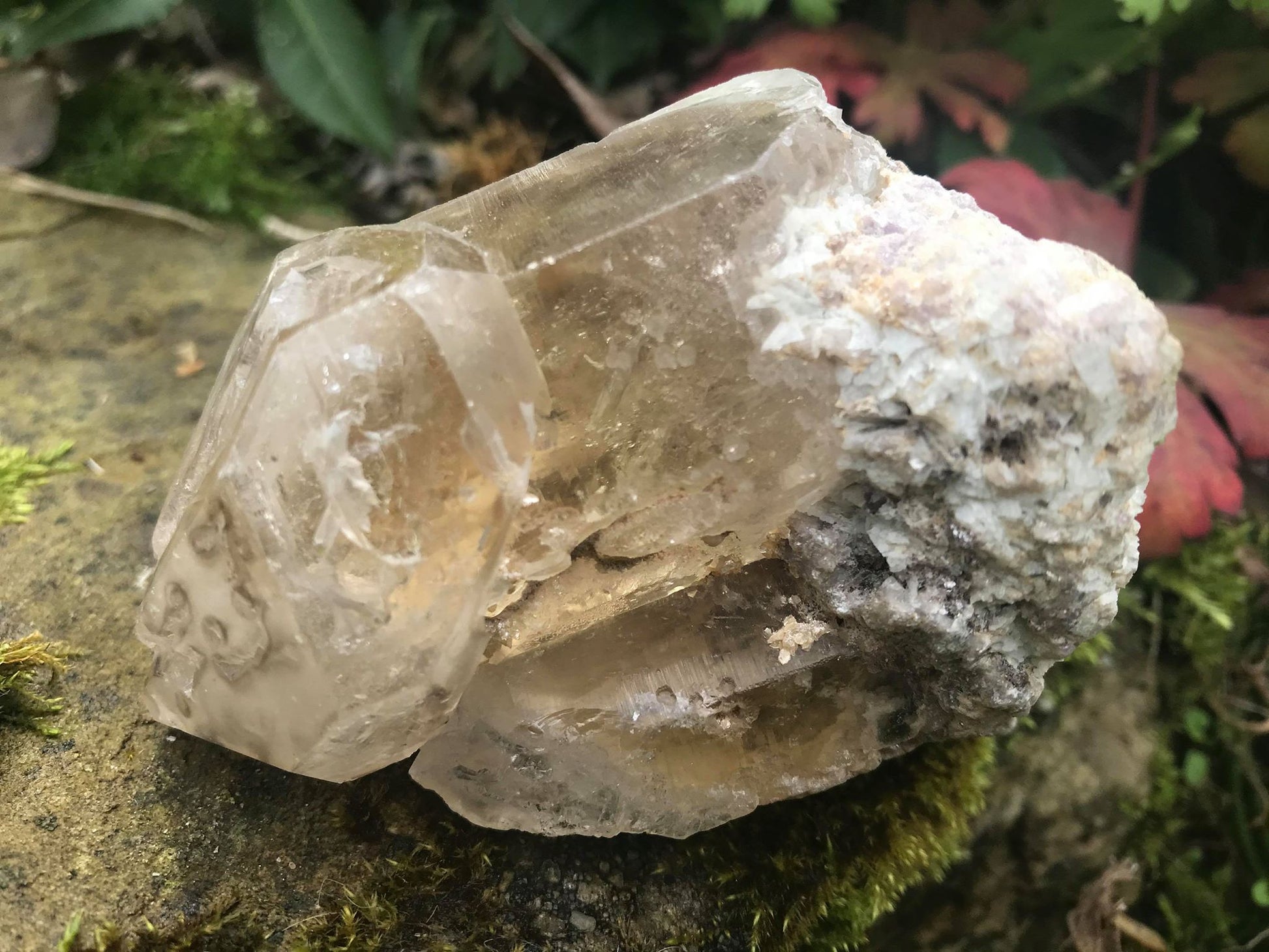 Smoky Elestial Quartz Point Specimen - Gem Realm