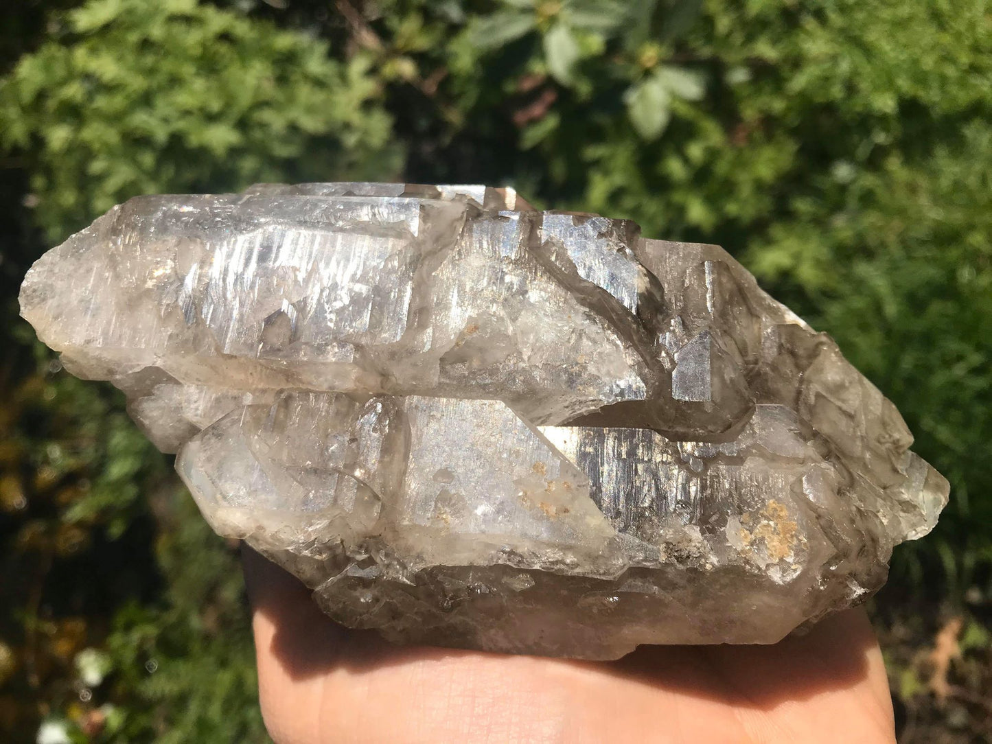 Smoky Elestial Specimen - Gem Realm