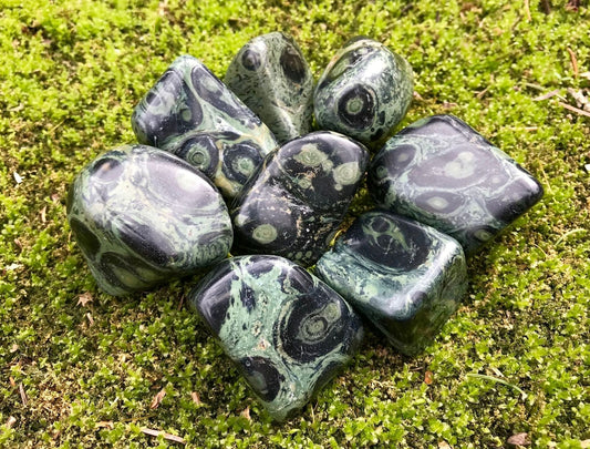 Kambaba Jasper - Gem Realm