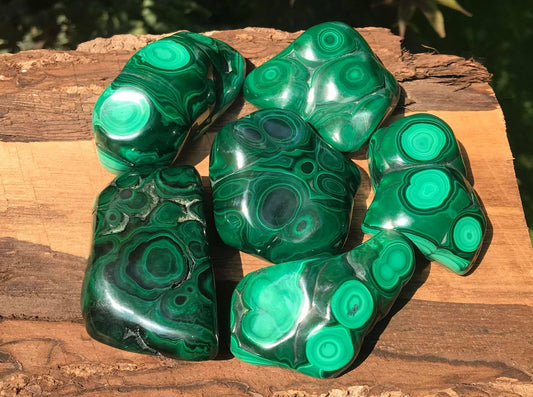 Malachite Freeforms ~ Polished Specimens ~ I