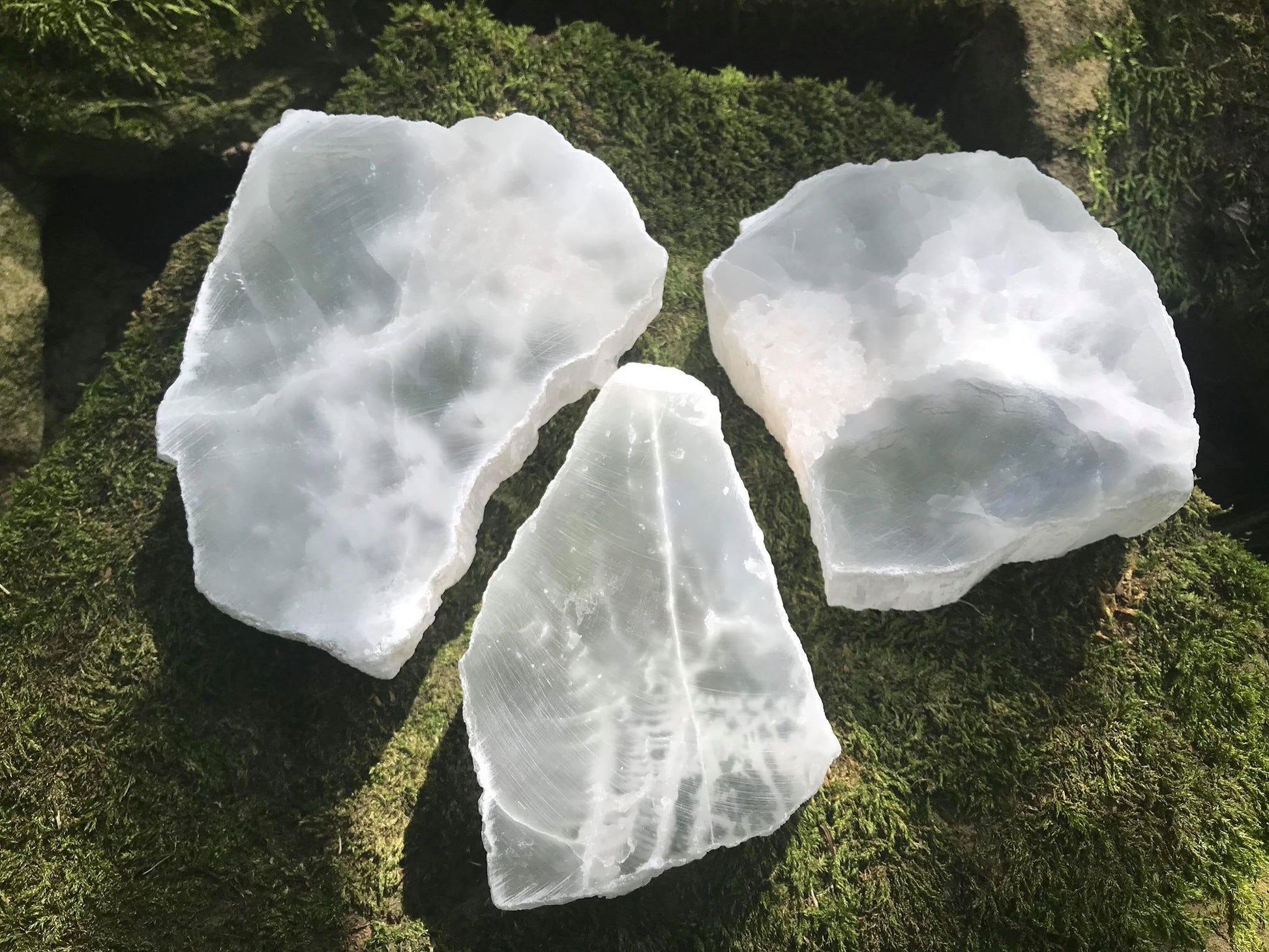 Selenite Slices - Gem Realm
