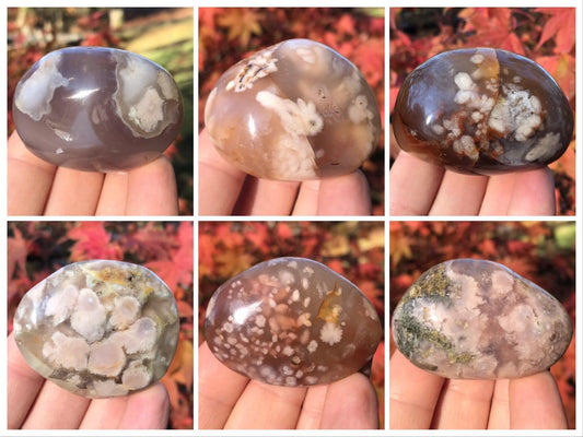 Flower Agate Palm Stones