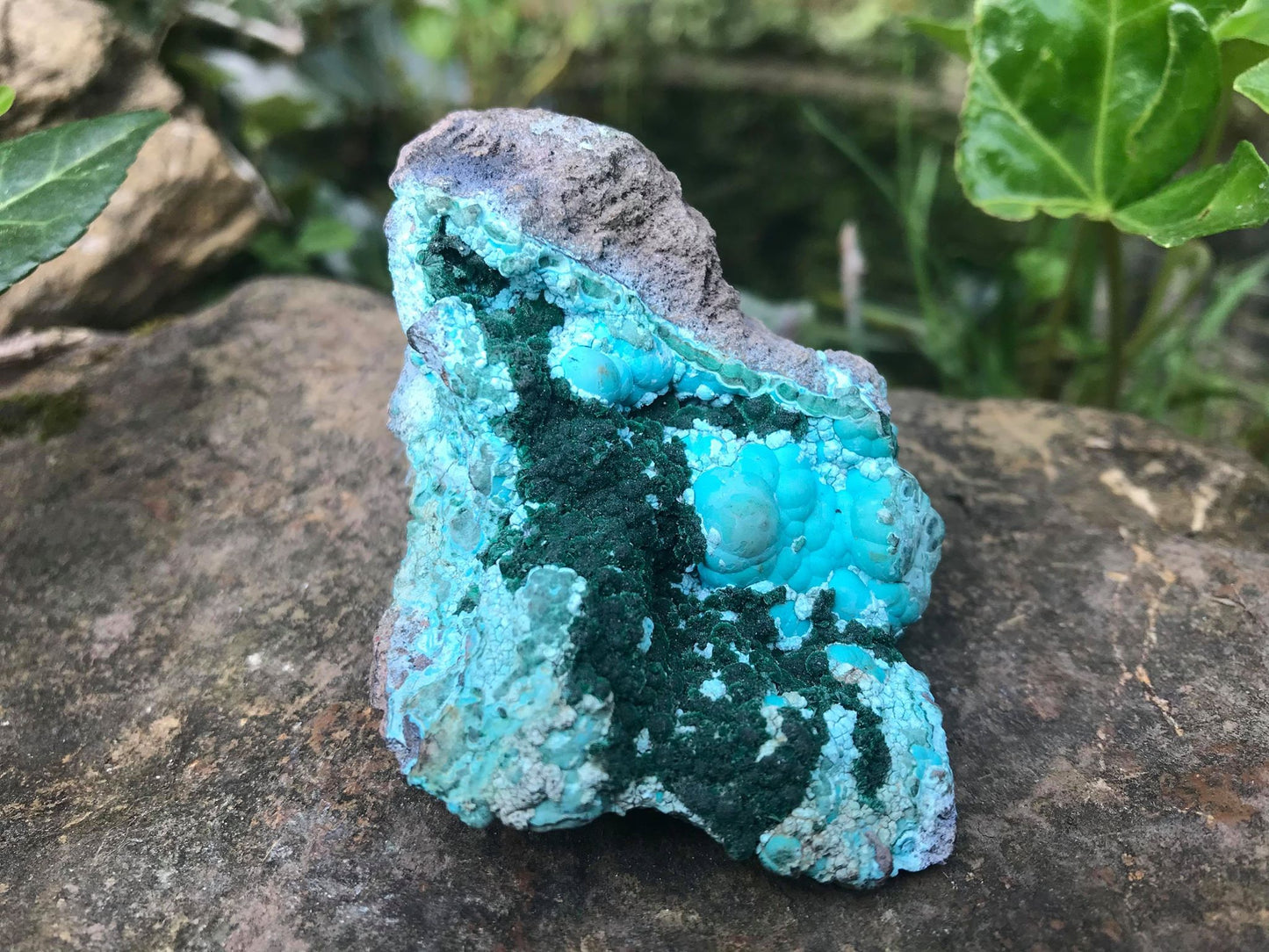 Chrysocolla & Malachite Specimen - Gem Realm