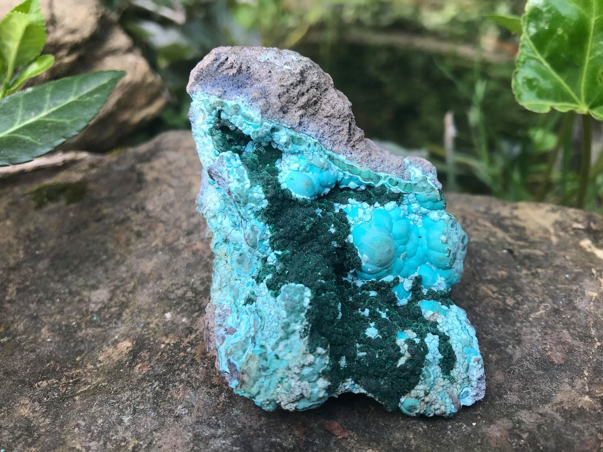 Chrysocolla & Malachite Specimen - Gem Realm