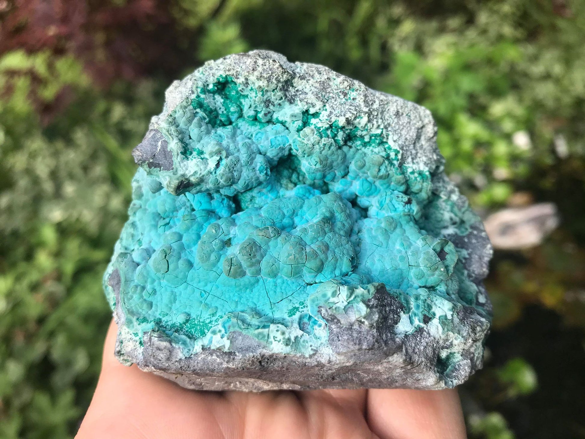 Chrysocolla Specimen - Gem Realm